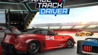 Race Track Driver - Switch