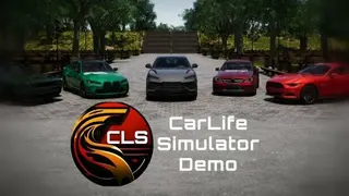 CarLife Simulator