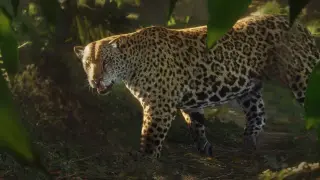 theHunter: Call of the Wild - Peru Hunting Reserve