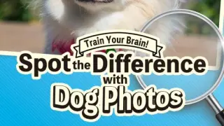 Train Your Brain! Spot the Difference with Dog Photos - Switch