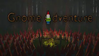 Gnome adventure