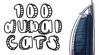 100 Dubai Cats