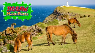 Scenes with Horses - Switch