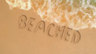 Beached