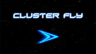 Cluster Fly