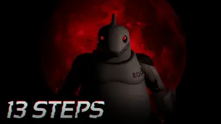 13 Steps