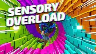 Sensory Overload