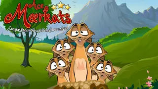 Ace Meerkats