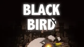 BLACK BIRD - Switch