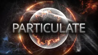 Particulate