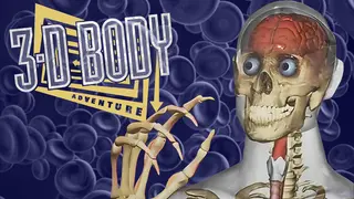 3D Body Adventure