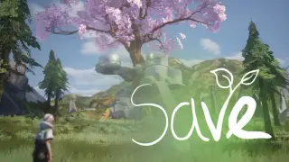 save
