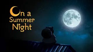 On a Summer Night