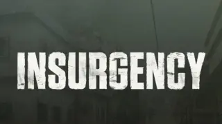 Insurgency