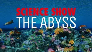 SCIENCE SHOW VR : THE ABYSS
