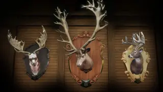 theHunter: Call of the Wild - Premium Trophy Mount Pack - PS4