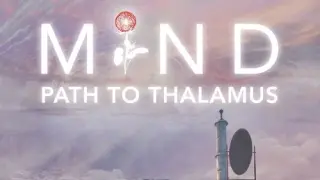 MIND: Path to Thalamus - Switch