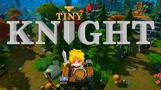Tiny Knight