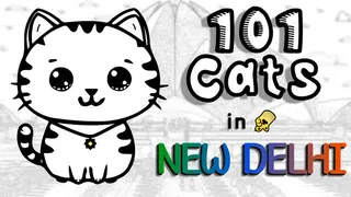 101 Cats in New Delhi