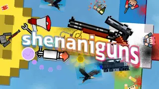 Shenaniguns