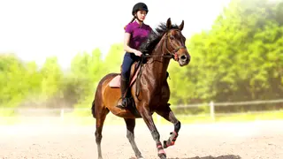My Little Riding Champion - Xbox One