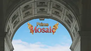 Prime Mosaic