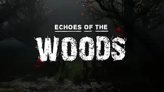 Echoes of the Woods