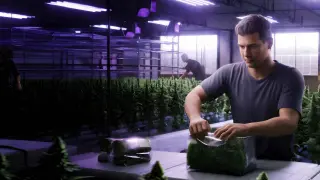 Weed Lord Simulator - PS5