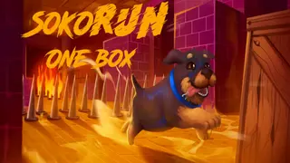 Sokorun: one box