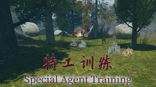 特工训练
