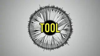 The Tool
