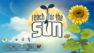 Reach for the Sun