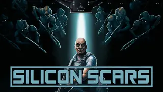 Silicon Scars