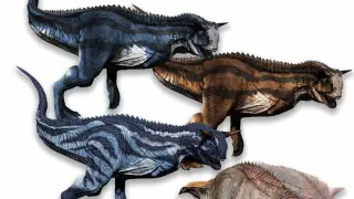Carno Pack 04 - PS4