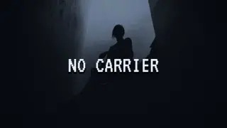 NO CARRIER