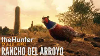 theHunter: Call of the Wild - Rancho del Arroyo