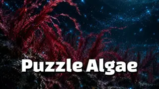 Puzzle Algae
