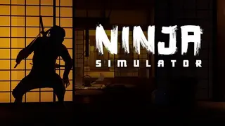 Ninja Simulator