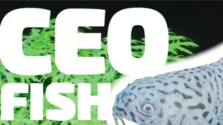 CEO Fish
