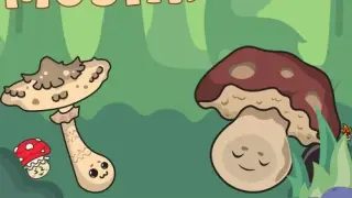 Land of Mushrooms - Switch