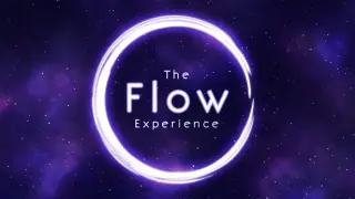 The Flow Experience