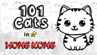 101 Cats in Hong Kong