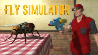 Fly Simulator