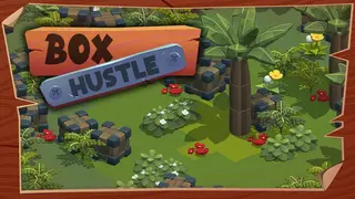 BOX HUSTLE
