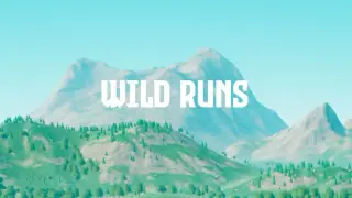 Wild Runs