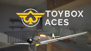 Toybox Aces