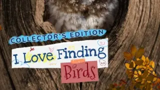 I Love Finding Birds Collector's Edition - Switch