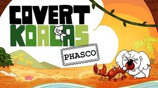 Covert Koalas: Phasco