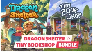 Dragon Shelter x Tiny Bookshop