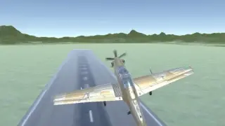 Pro Flight Simulator - Switch